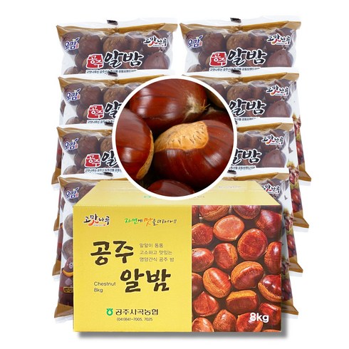 23년 햇밤 농협 프리미엄 공주 옥광밤 2Kg 4Kg 8Kg 특대 사이즈, 옥광 8Kg [대], 1개