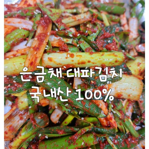 은금채 김치 전라도 대파김치 1kg, 1개