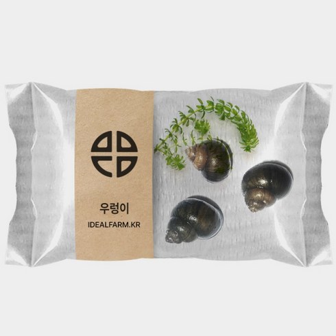 농사템 학습용 관찰 우렁이 3마리, 1개