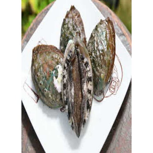  완도 왕특대 참전복 10미 - 완도전복생산자협동조합 특대전복 1kg(9미~10미) 전복, 왕특대 1kg(7-8미), 1개