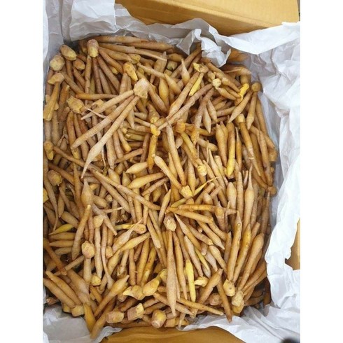 람주마야 - 생핑거루트 태국산 갖차이 까차이 1kg, 1개