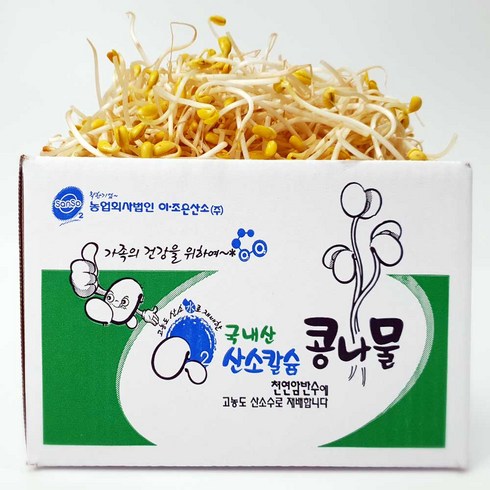 [ 평점 4.8이상 무농약 인증] 국산 콩나물 1kg 2kg 3kg 5kg 친환경 산소 콩나물, 1박스