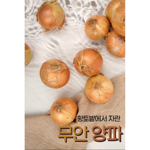 국내산 24년 황토밭 최상품 크고 달큰한 햇양파, 1개, 10kg