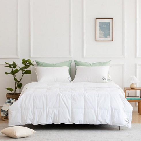 [소프라움] 좋은이불솜 RDS80 60수 구스다운 간절기 이불솜 싱글, 화이트/싱글(MDS22FS06D11WHS)