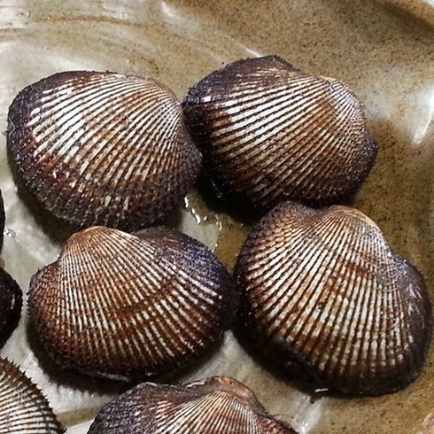 벌교 여자만 피꼬막, 2kg 소 (60~80미), 1개