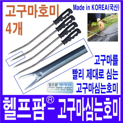 고구마심기 TOP01