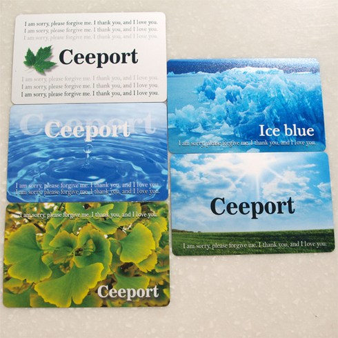 호오포노포노 플라스틱 정화카드 치포트 Ceeport hooponopono 아이스블루, B. 은행나무 잎 CEEPORT 정화카드