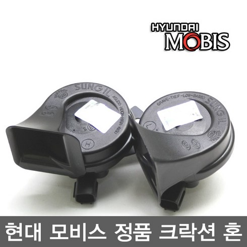 에쿠스혼 TOP01