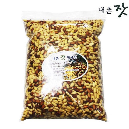 가평잣1kg TOP01