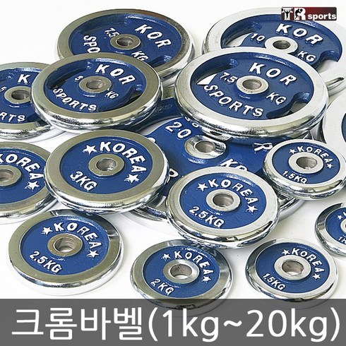 원판 - 태림스포츠 크롬 바벨 원판 1kg~20kg, 15kg, 1개