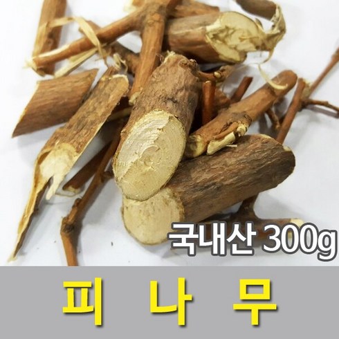 피나무 TOP01