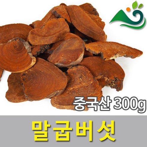 말굽버섯 TOP01