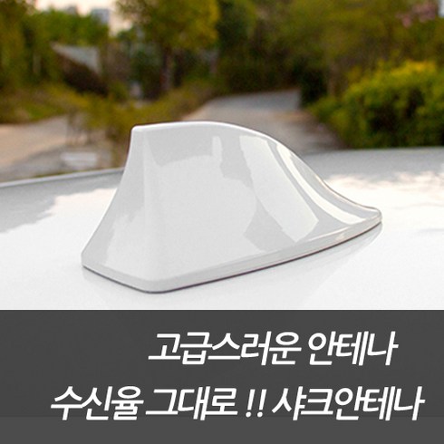 샤크안테나교체 TOP01