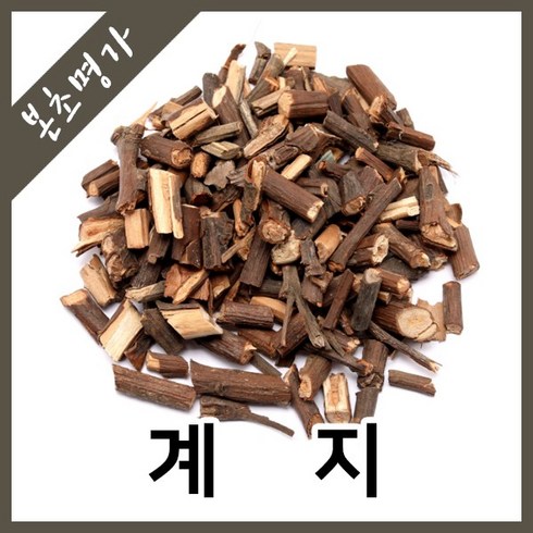 계수나무 TOP01