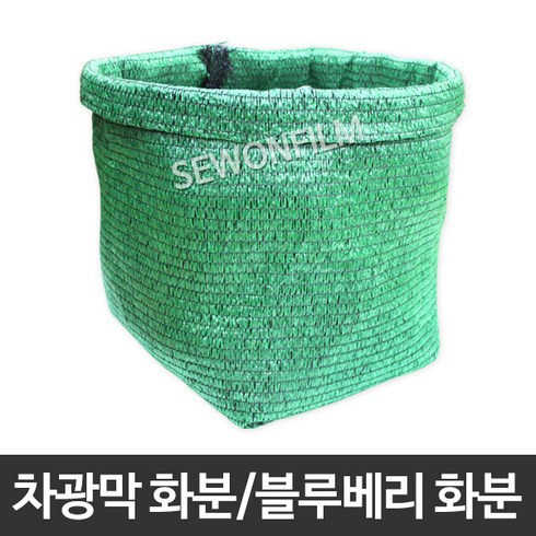 블루베리화분 TOP01