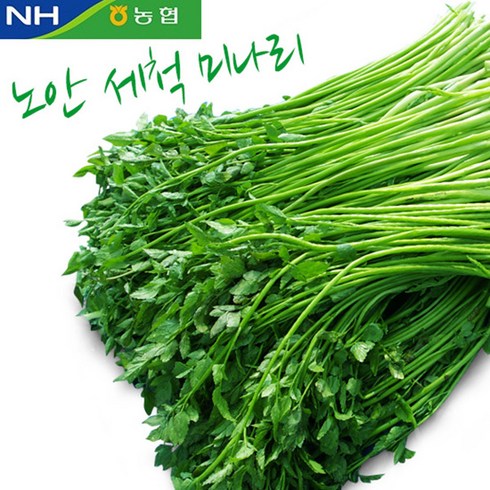노안농협 [노안농협] 세척 미나리 1kg, 1박스
