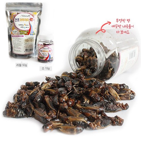 MG내츄럴 국내산 건조 귀뚜라미 15g(통), 단품, 단품, 15g