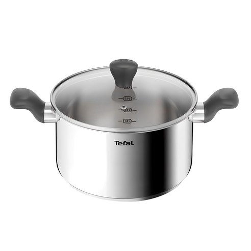 테팔 인덕션 스테인레스 스틸 이지쿡 양수냄비, 24cm, 실버, 1개