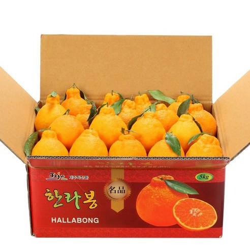 깨비농원 제주 한라봉, 1box, 한라봉 4.5kg 소과(21-30과)