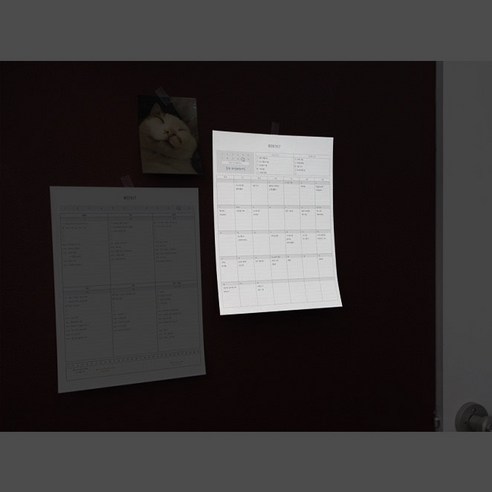 시간 관리를 효과적으로 관리하고 생산성을 향상시키는 데얼스 스케줄러 A4