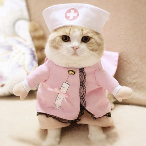 아리코 Petstyle 반려동물 역할의상, 간호사, 1개