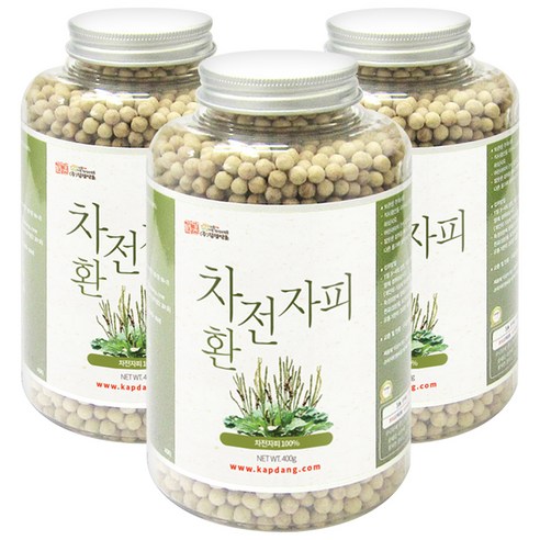 갑당약초 차전자피환, 400g, 3개