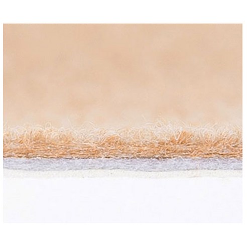 반려견의 안전을 위한 필수 아이템