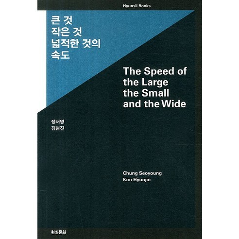 큰 것 작은 것 넓적한 것의 속도:The Speed of the Large the Small and the Wide, 현실문화, 정서영,김현진 저
