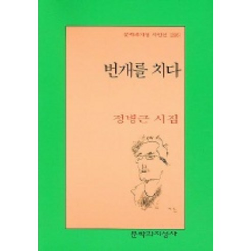 번개를 치다, 문학과지성사, 정병근 저