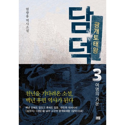 광개토태왕 담덕 3: 여명의 기운:엄광용 역사소설, 새움, 엄광용