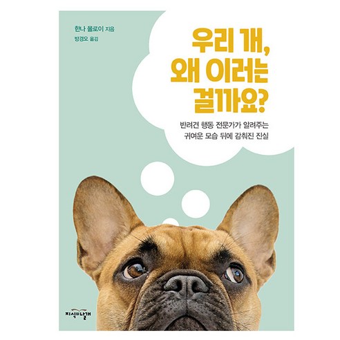 DK우리 개 왜 이러는 걸까요?:반려견 행동 전문가가 알려주는 귀여운 모습 뒤에 감춰진 진실, 지식의날개, 한나 몰로이