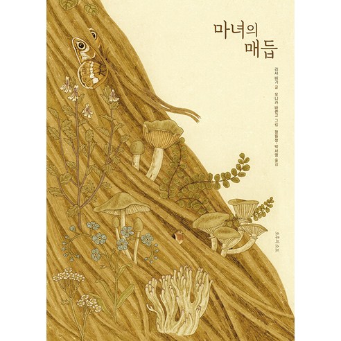 마녀의 매듭, 리사 비기, 오후의소묘