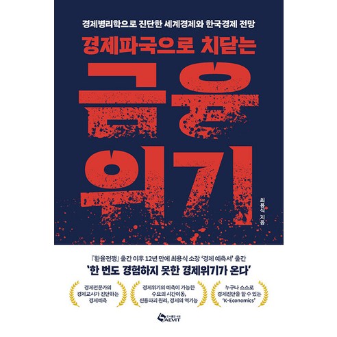 [새빛]경제파국으로 치닫는 금융위기 : 경제병리학으로 진단한 세계경제와 한국경제 전망, 새빛, 최용식