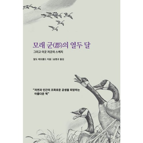 [히스토리아]모래 군의 열두 달 : 그리고 이곳 저곳의 스케치, 히스토리아, 알도 레오폴드