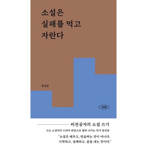 소설은 실패를 먹고 자란다:비전공자의 소설 쓰기, 정진영, 파이퍼프레스