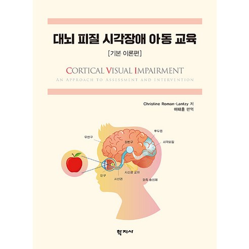 [학지사]대뇌 피질 시각장애 아동 교육 : 기본 이론편, Christine Roman-Lantzy, 학지사