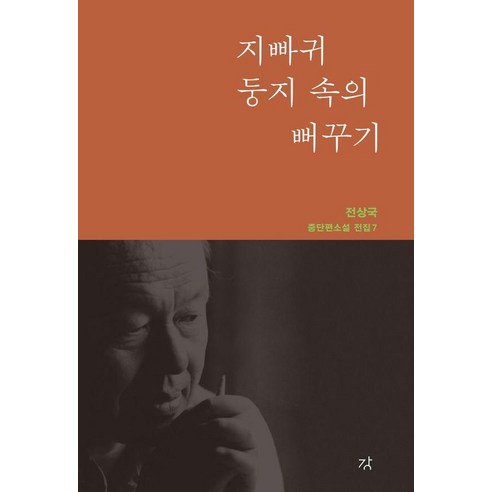 [강]지빠귀 둥지 속의 뻐꾸기 - 전상국 중단편소설 전집 7 (양장), 강