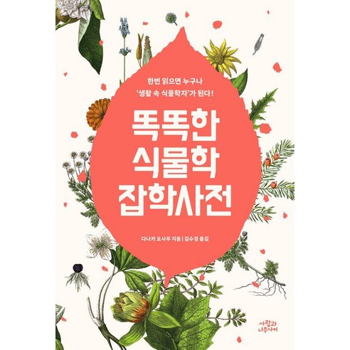 여인초 극락조 꽃 키우기 화분 화초 집들이 인테리어 식물 화분배달 개업 난 관엽식물 고급, 특대형 (기본받침), 1개 식물같이키우실래요? 10 똑똑한 식물학 잡학사전:한번 읽으면 누구나 '생활 속 식물학자'가 된다!, 사람과나무사이, 다나카 오사무