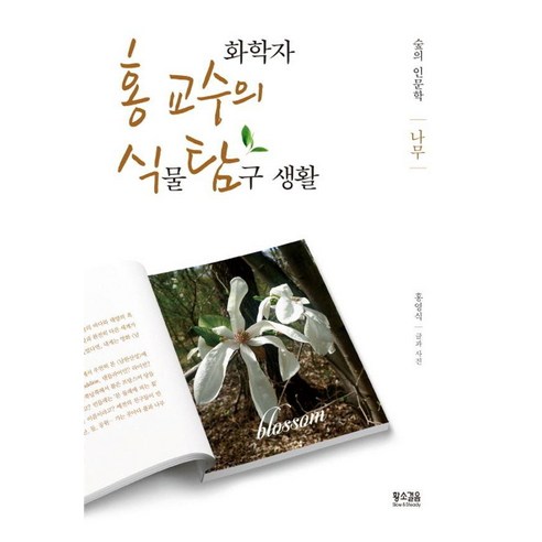 [황소걸음]화학자 홍 교수의 종횡무진 식물 탐구 생활 : 나무, 황소걸음, 홍영식