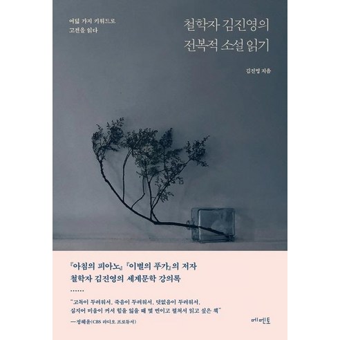 [메멘토]철학자 김진영의 전복적 소설 읽기, 메멘토, 김진영