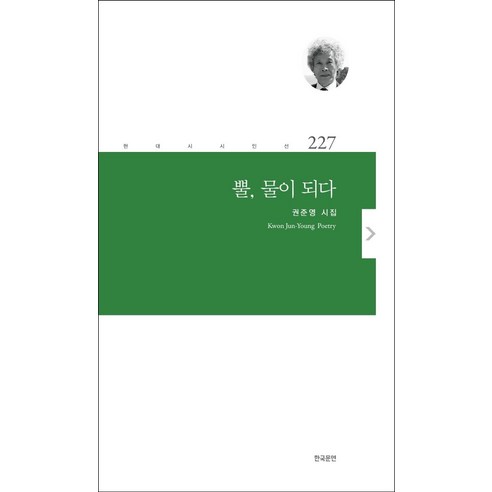 [한국문연]뿔 물이 되다 - 현대시 시인선 227, 한국문연, 권준영