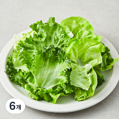 친환경 유러피안 모둠 샐러드용 채소, 6개, 1개입