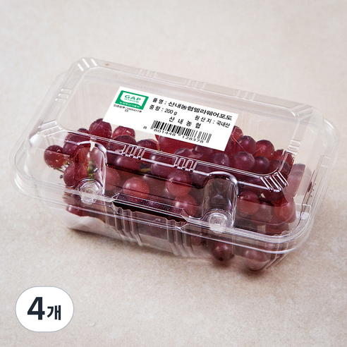 산내농협 GAP 델라웨어 포도, 200g, 4개