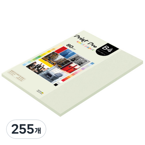 종이문화 프린트 프로 칼라 복사용지 No 18 라이트그레이 80g, B4, 255개