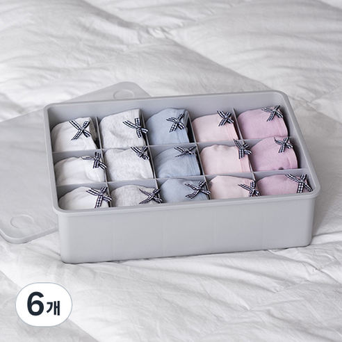 이즈리빙 뚜껑있는 플라스틱 속옷정리함 15칸, 그레이 + 반투명, 6개