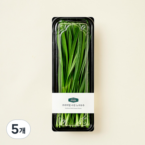 프리미엄 사천 노지부추, 200g, 5개