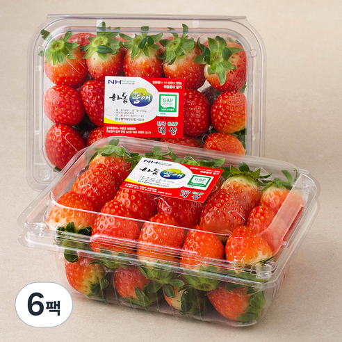 산지직송 하동품애 GAP 설향딸기(상), 500g, 6팩