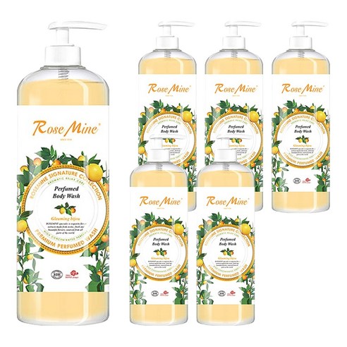 로즈마인 퍼퓸드 바디워시 글리밍 비쥬, 1000ml, 6개