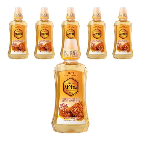 고려인삼 사양 벌꿀, 600g, 6개