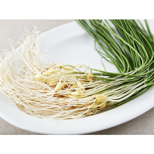 향긋한 달래로 봄 식탁을 풍요롭게!